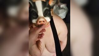 NEW DIRTY FAT FUCK PIGS COMPILATION